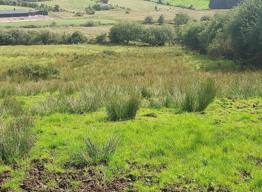 107 Tattysallagh Road, Omagh, BT78 4RQ
