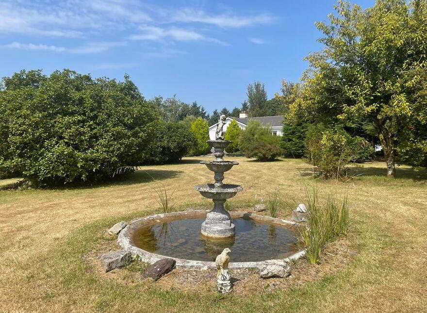 Boolavonteen, Ballinamult, E91K520