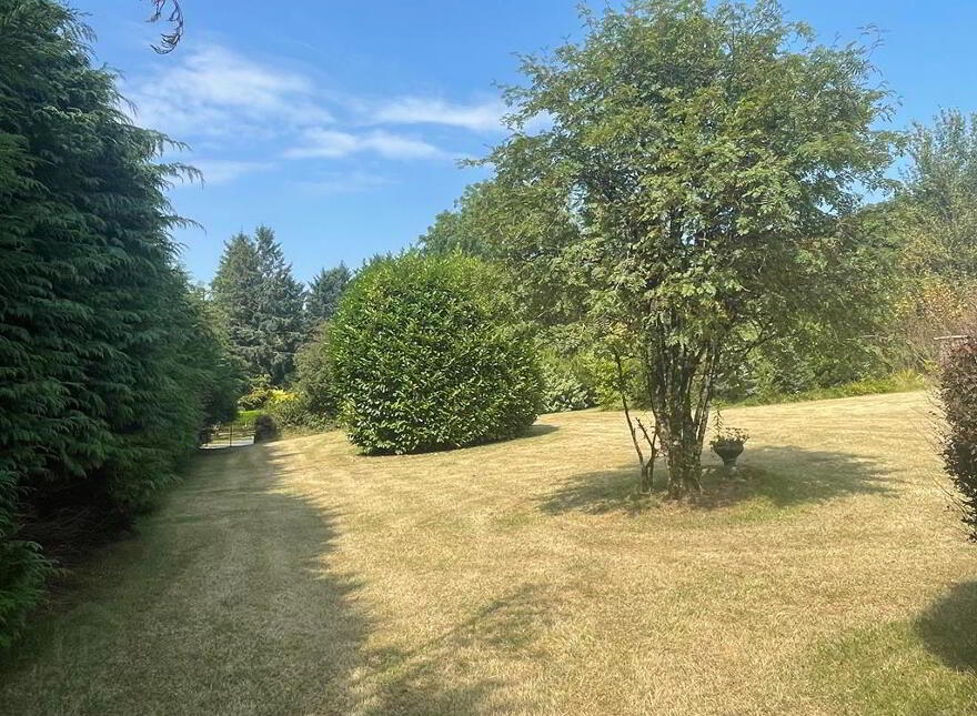 Boolavonteen, Ballinamult, E91K520