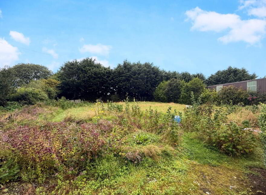 Inchycullane, Kilcummin, Killarney, V93C1P0