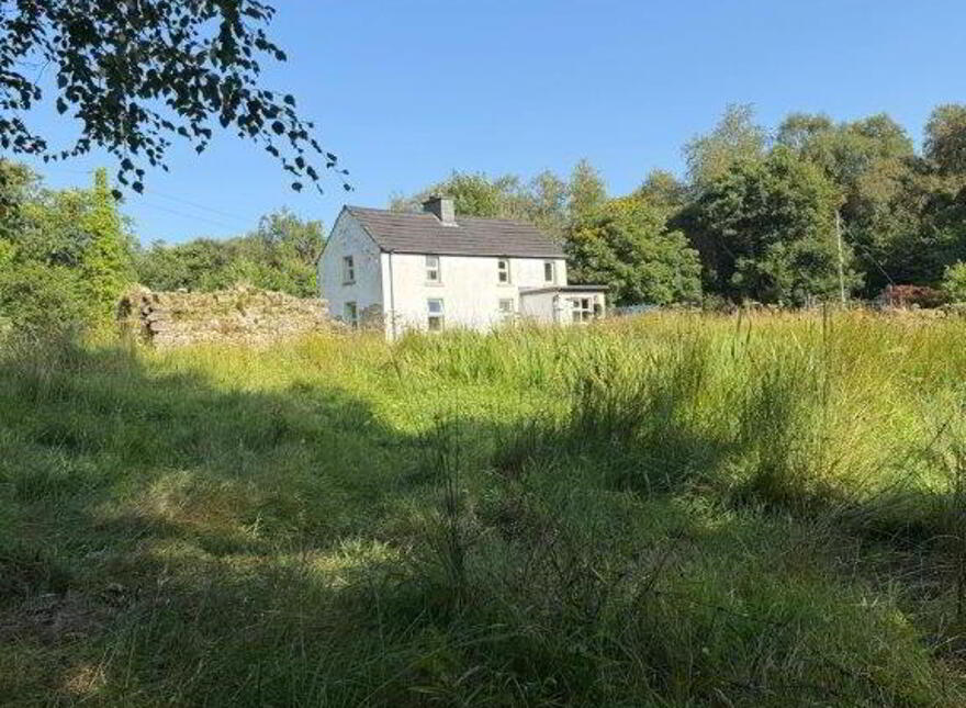 Raheelin, Kiltyclogher, F91W291