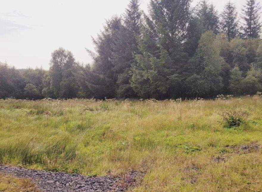 Raheelin, Kiltyclogher, F91W291