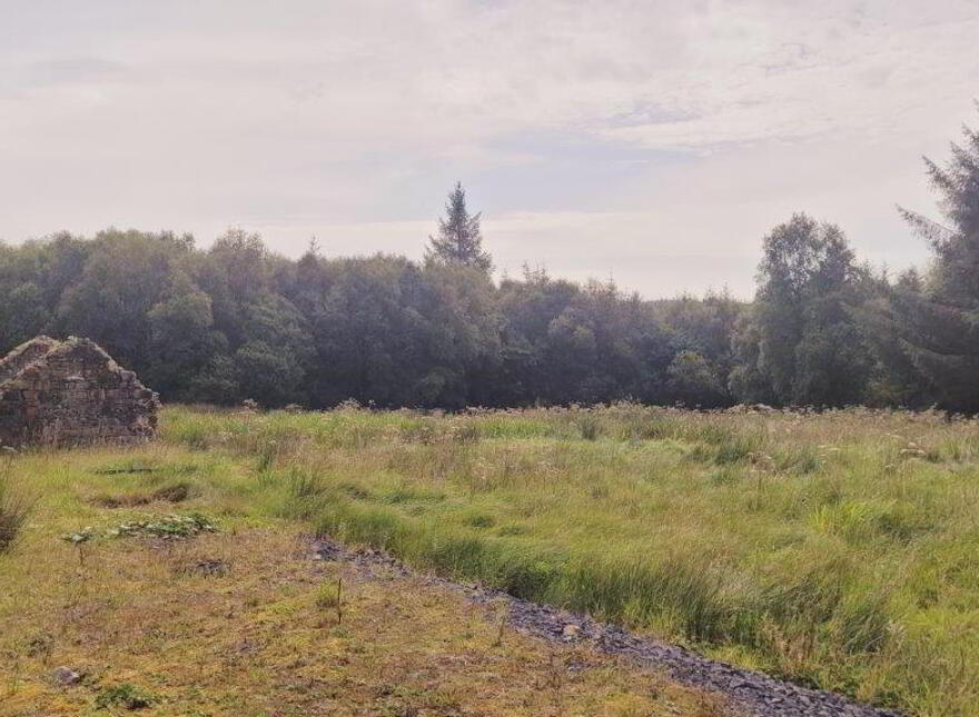 Raheelin, Kiltyclogher, F91W291