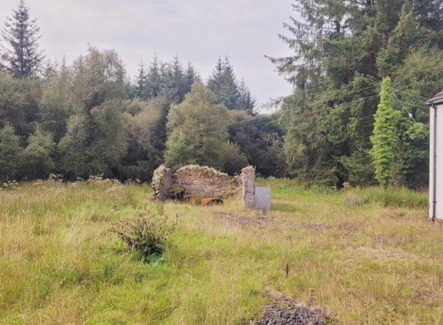 Raheelin, Kiltyclogher, F91W291