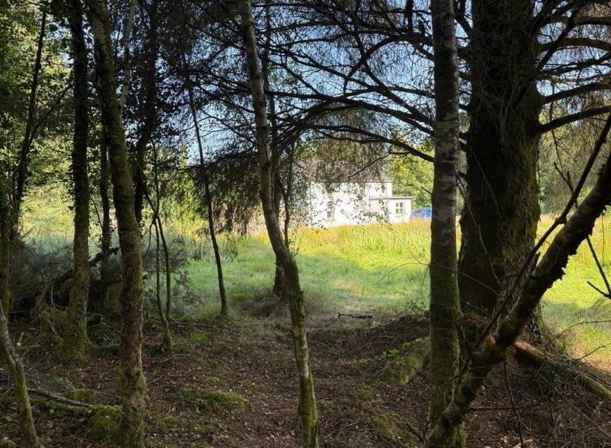 Raheelin, Kiltyclogher, F91W291