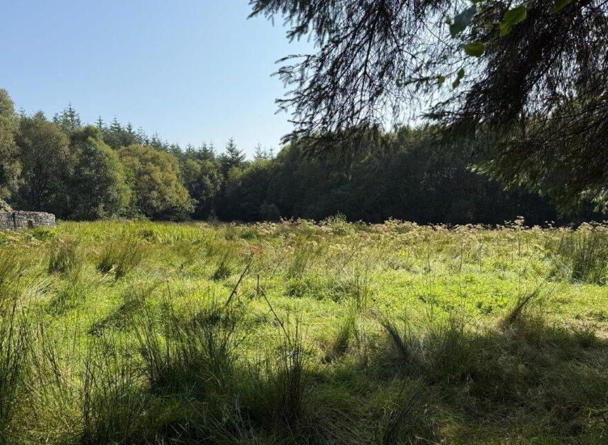 Raheelin, Kiltyclogher, F91W291
