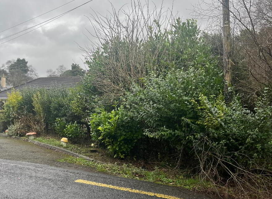 Circa 1.34 Acres, Rathernan, Connell