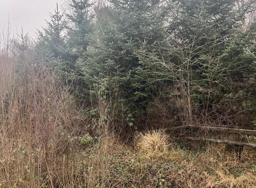 Circa 1.34 Acres, Rathernan, Connell