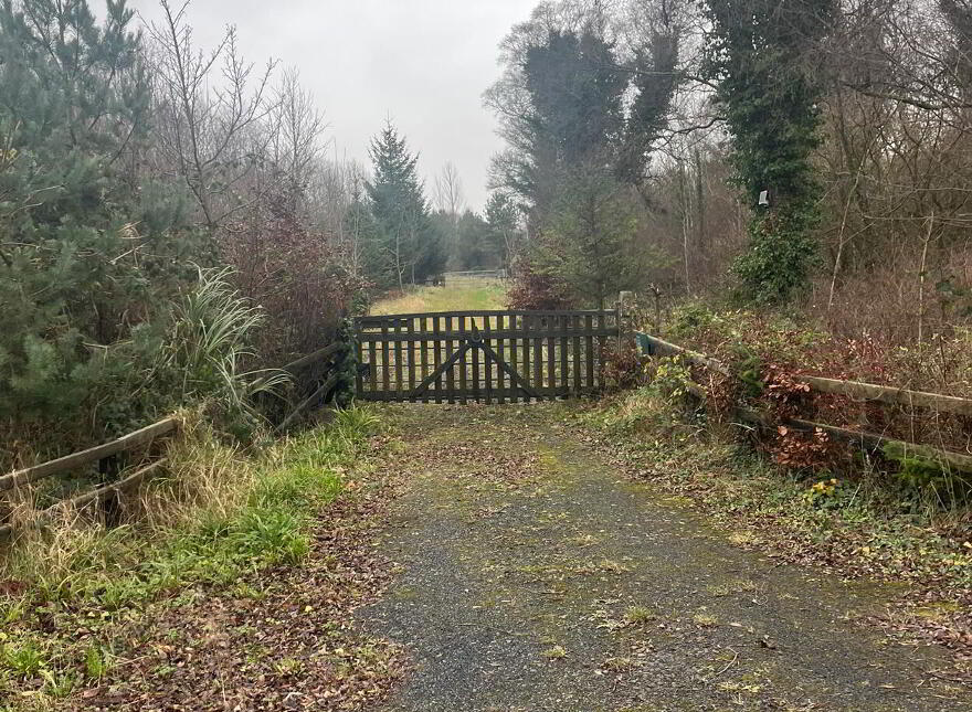 Circa 1.34 Acres, Rathernan, Connell