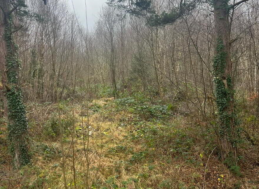 Circa 1.34 Acres, Rathernan, Connell photo