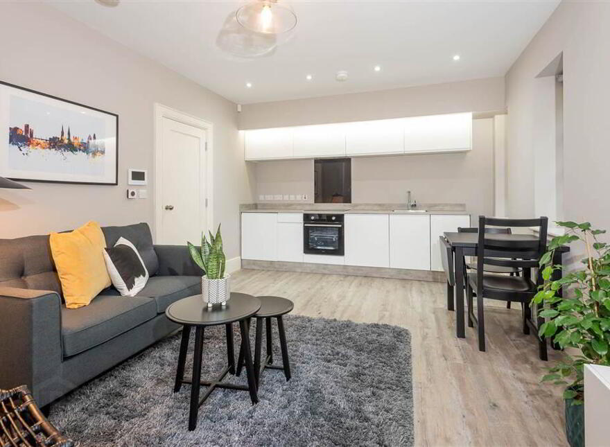 Apt 1 Atelier House, 26 San Souci Park, Belfast, BT9 5BZ