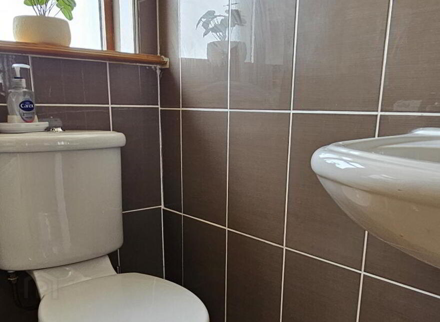 Jamestown, Carrick-On-Shannon, N41DX61
