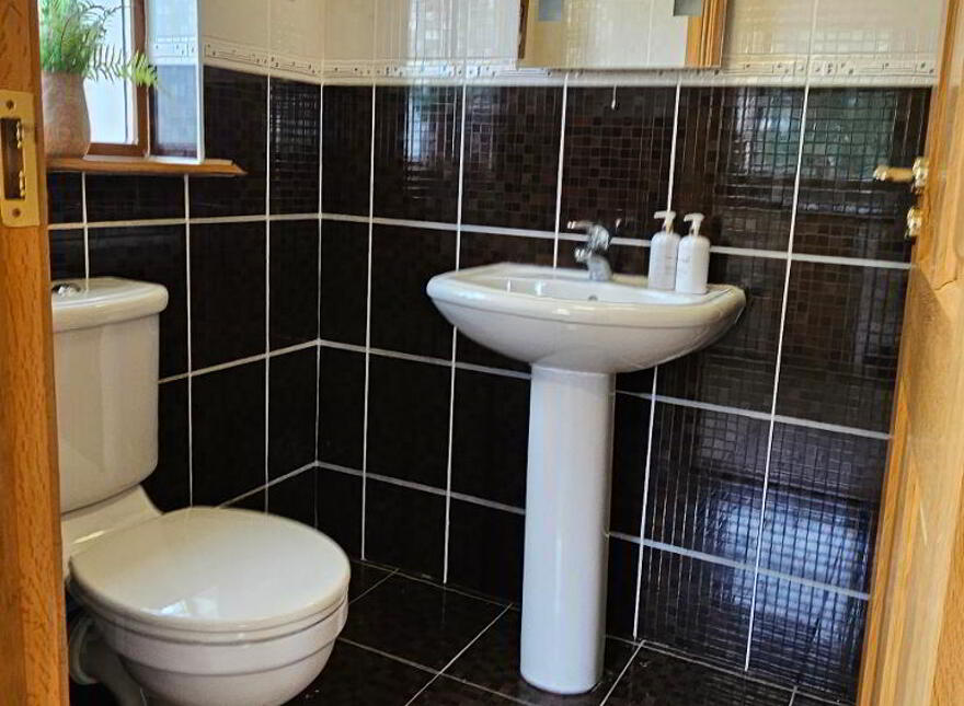 Jamestown, Carrick-On-Shannon, N41DX61
