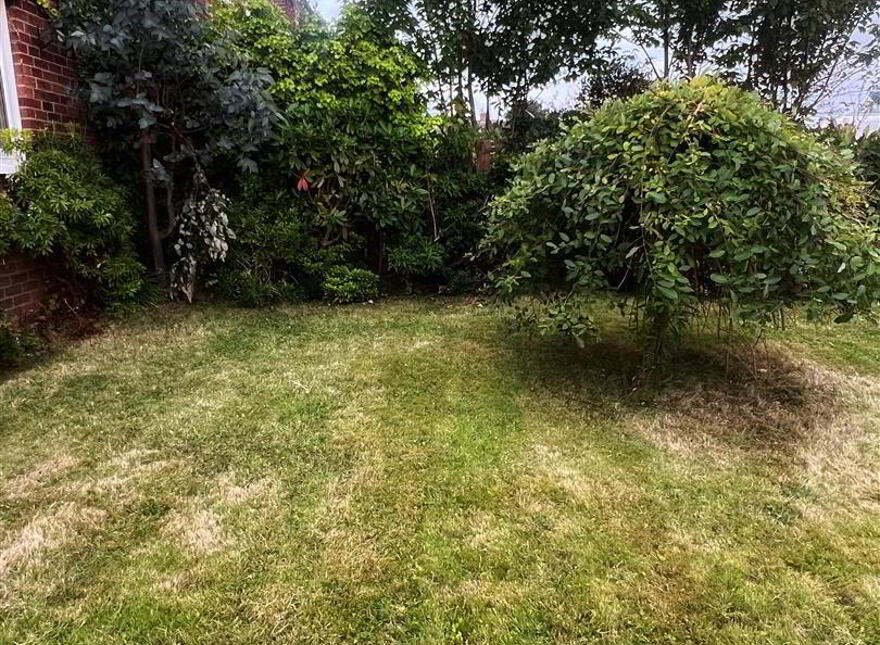 1 Churchill Park, Bangor, BT20 5RL