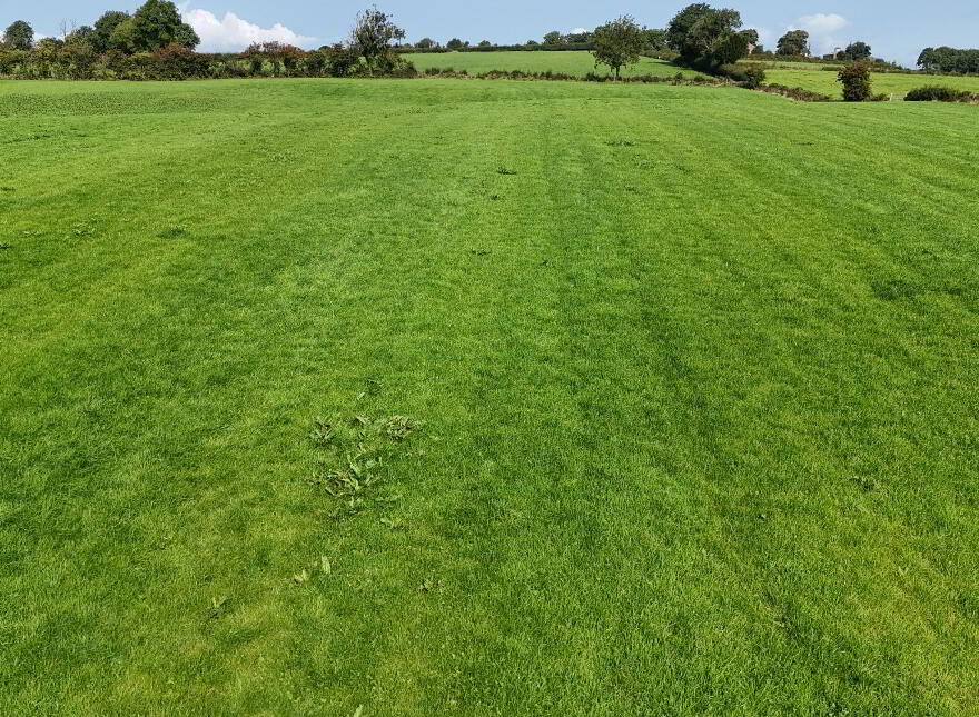 Prime 25 Acre Arable Farm, Corbally Road, Fintona, Omagh, BT78 2PD