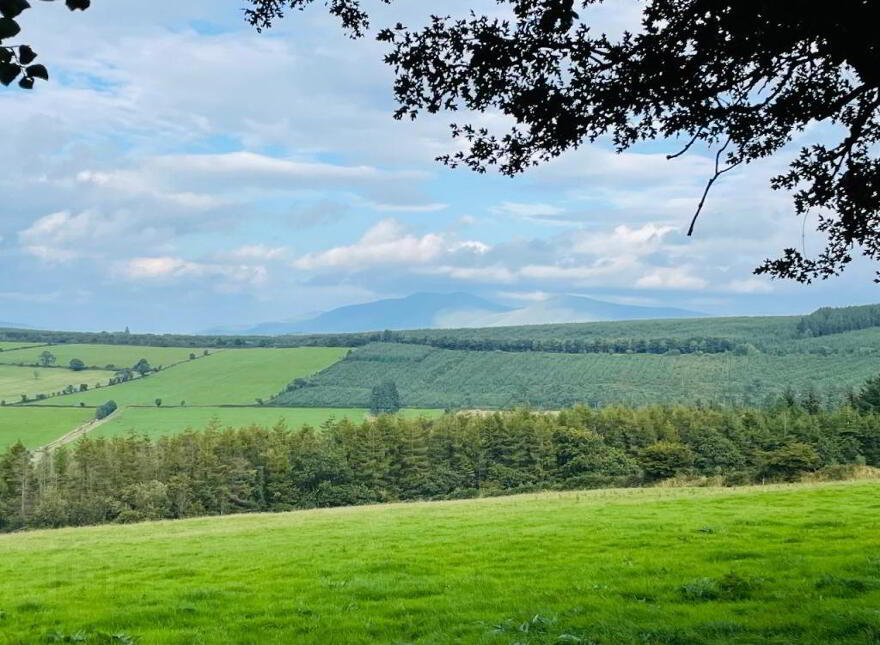 Thomastown, Kilfinane, V35D308