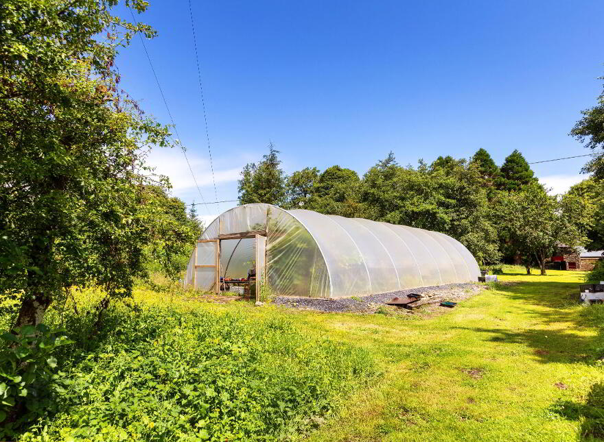 Clooneen House, Mill & Gardens, Granard, Longford, N91C432