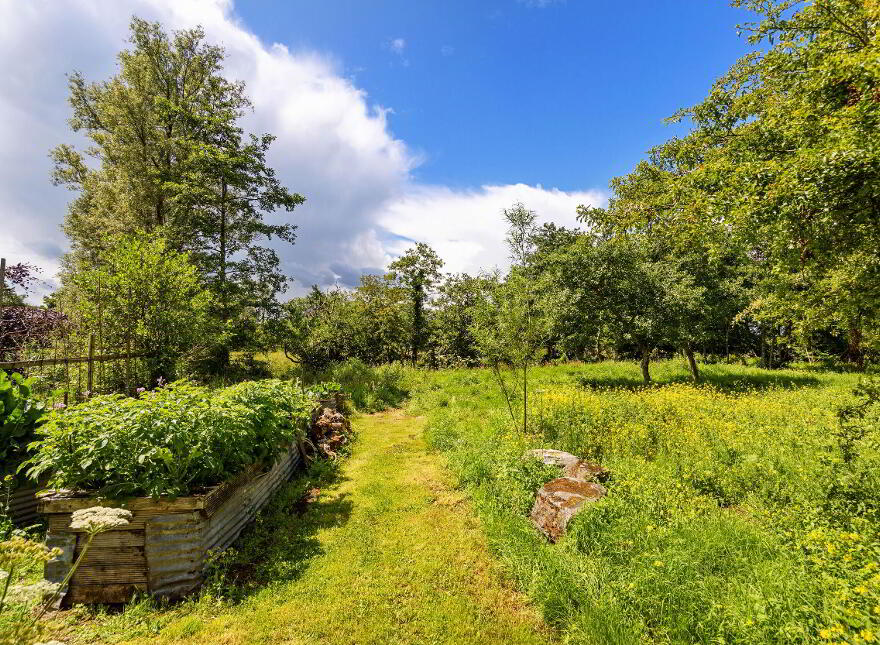 Clooneen House, Mill & Gardens, Granard, Longford, N91C432