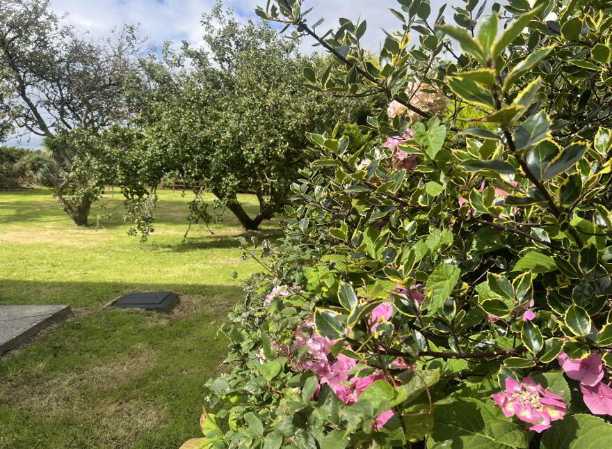 Claremount, Claremorris, F12ER22