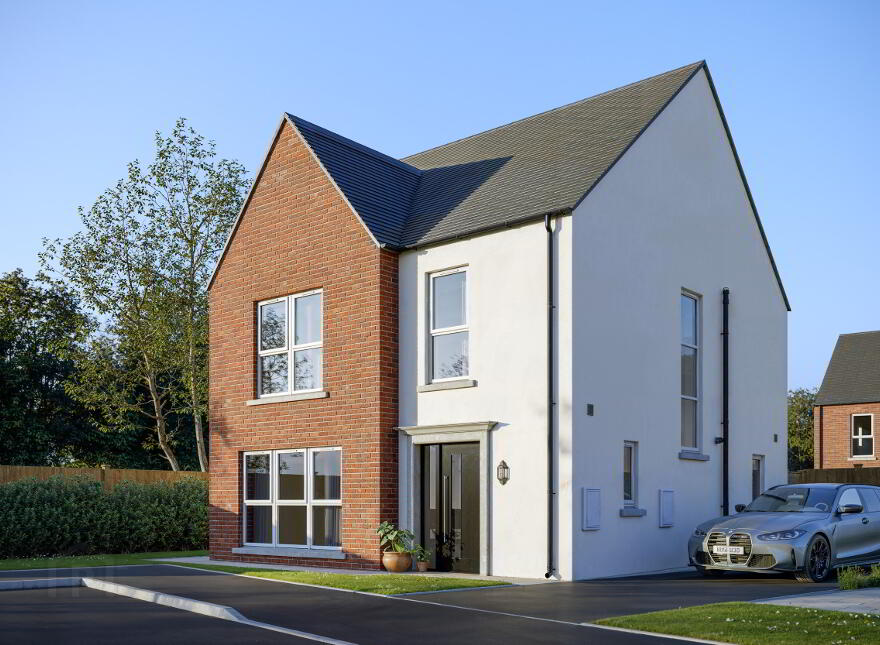 The Ash, Mill Bank Park, Roe Mill Road, Limavady photo