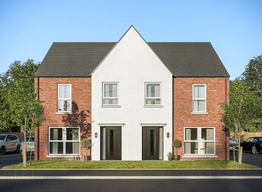 The Elder, Mill Bank Park, Roe Mill Road, Limavady photo
