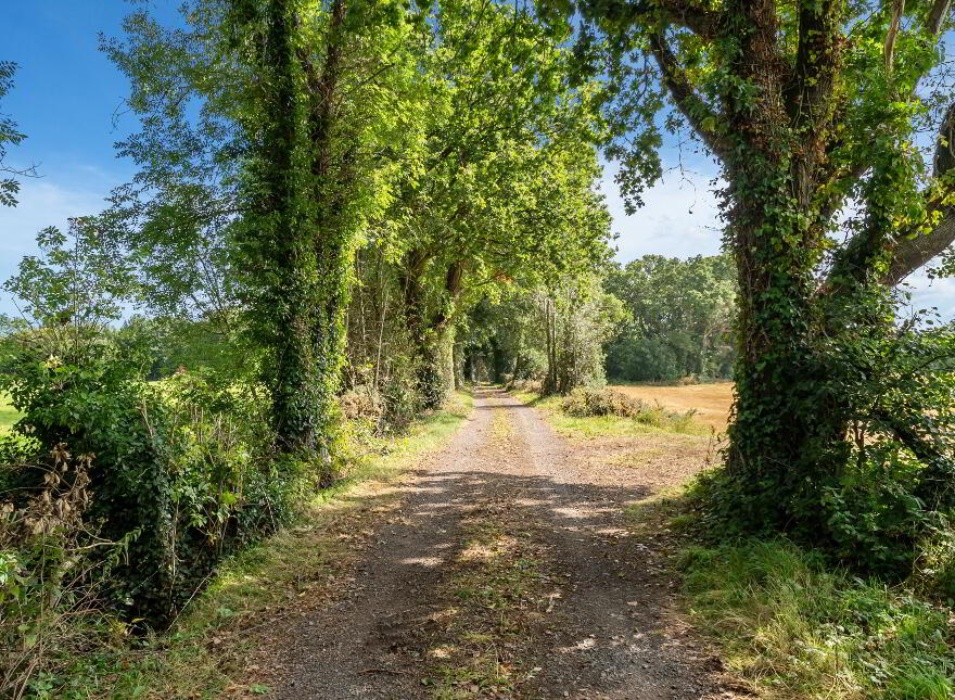 Newport Cottage, 105 Halftown Road, Maze, Lisburn, BT27 5RF