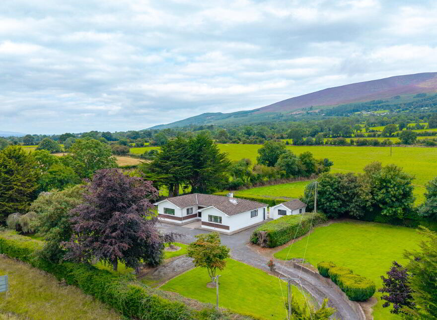 Kilcash Cross, Clonmel, E91R2H1