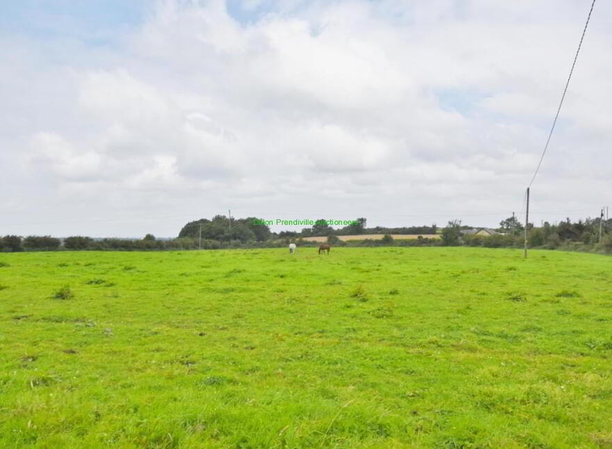 87.64 Acres, Ballygrennan, Listowel, V31R289