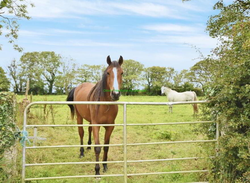 87.64 Acres, Ballygrennan, Listowel, V31R289