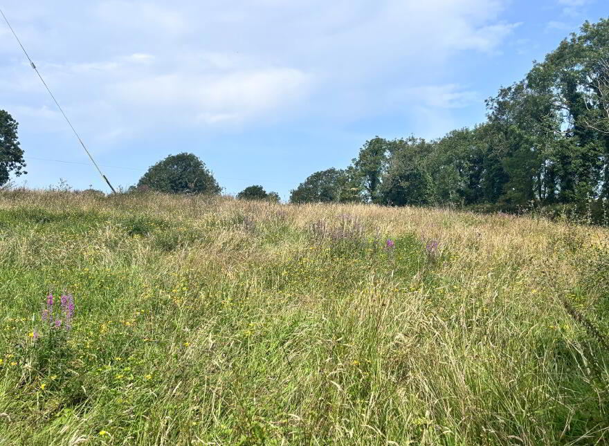 Cross Beg, Knockalough, Lissycasey