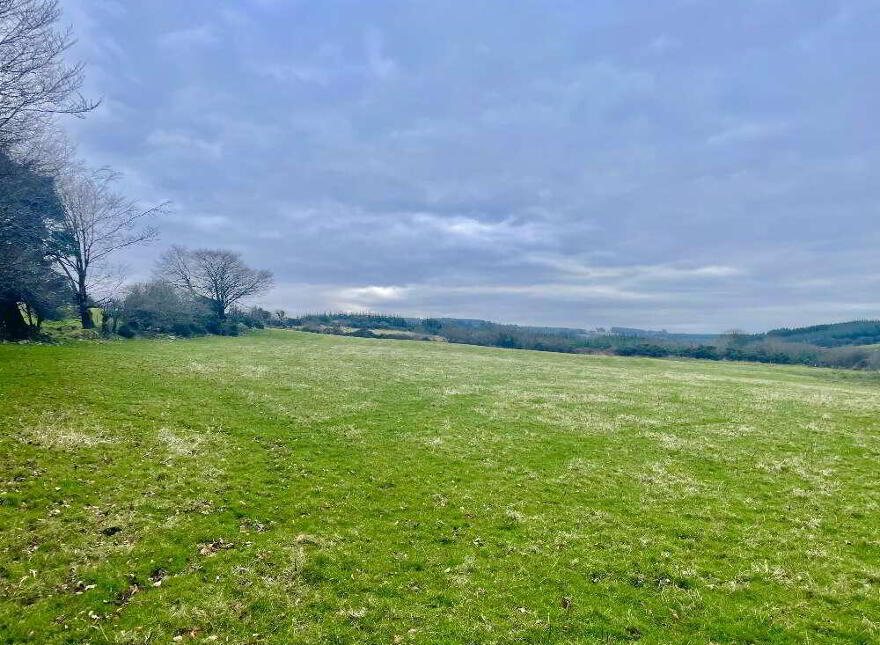 Knocknaglogh Lower And Lisgriffin, Aglish