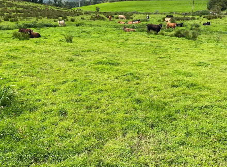 Summerhill, Donegal Town, F94HN88
