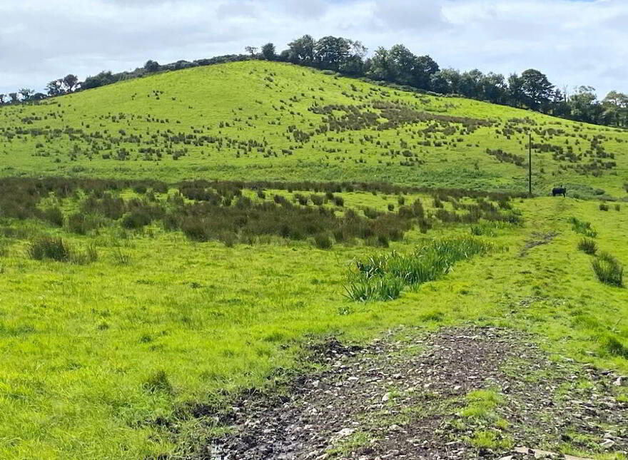 Summerhill, Donegal Town, F94HN88