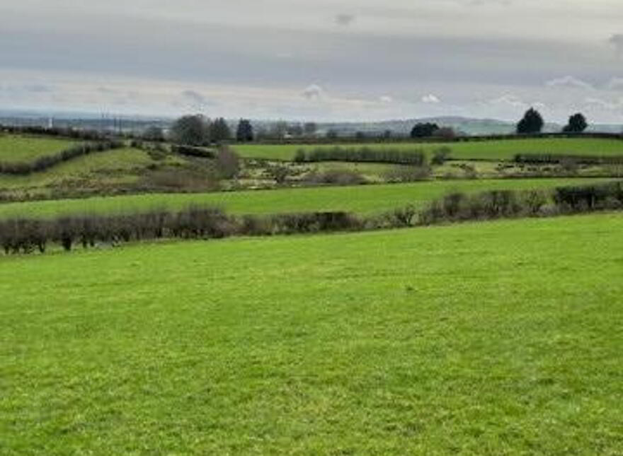 Off Lurgy Road, Dungannon photo