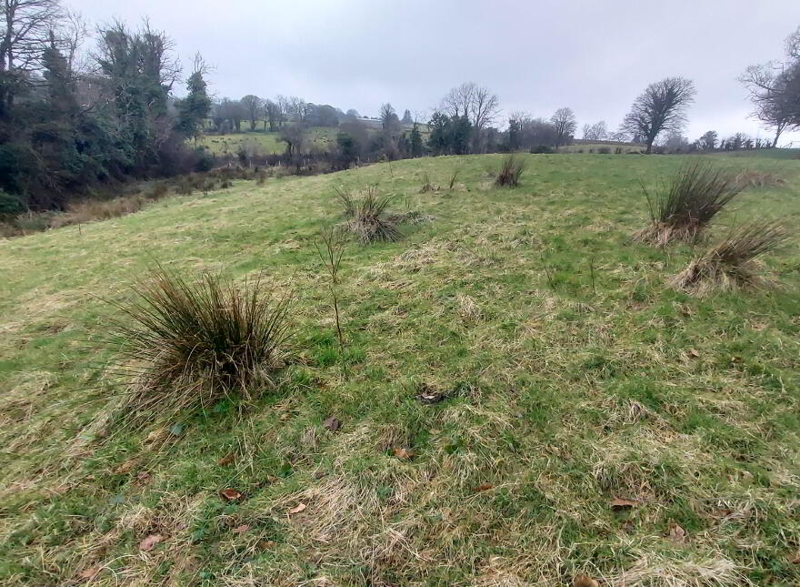 199 Corbally Road, Fintona, BT78 2HE