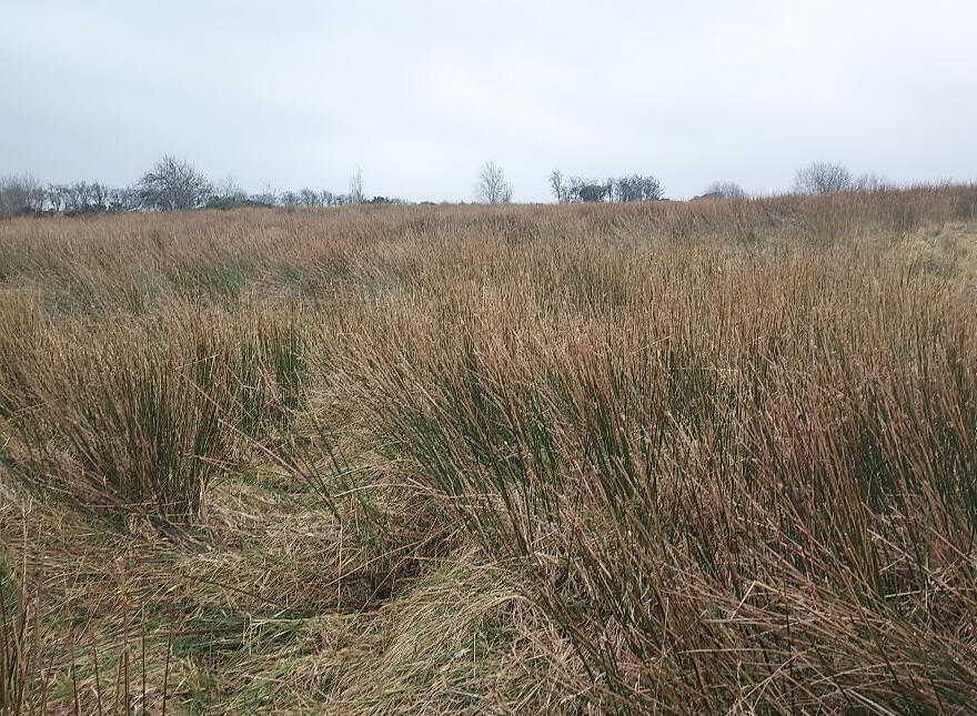 199 Corbally Road, Fintona, BT78 2HE