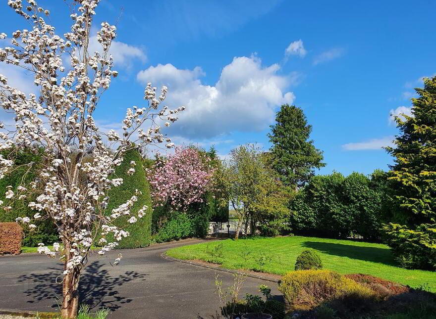 Laurelbank House, 11 Ballyhartfield Road, Templepatrick, BT39 0RB