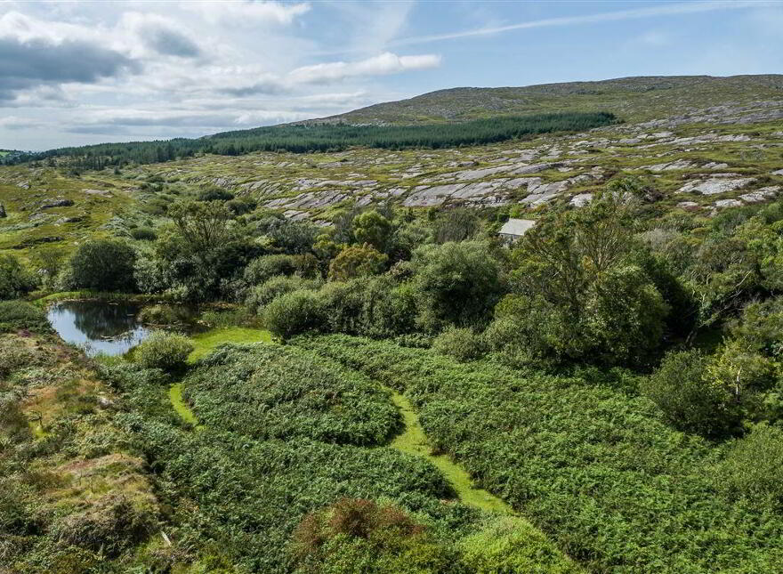 Lucy' S Farmhouse, Glaun, Dunmanus, Schull, West, P81XK24
