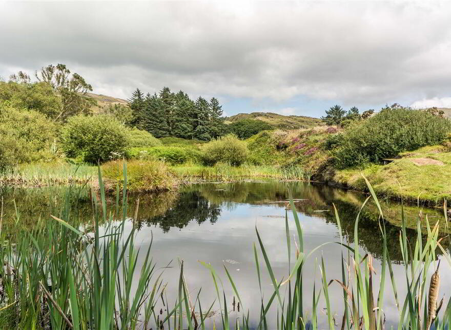 Lucy' S Farmhouse, Glaun, Dunmanus, Schull, West, P81XK24