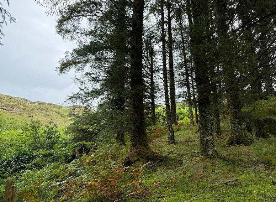 Lucy's Farmhouse, Gloun, Dunmanus, Dunmanus, P81XK24