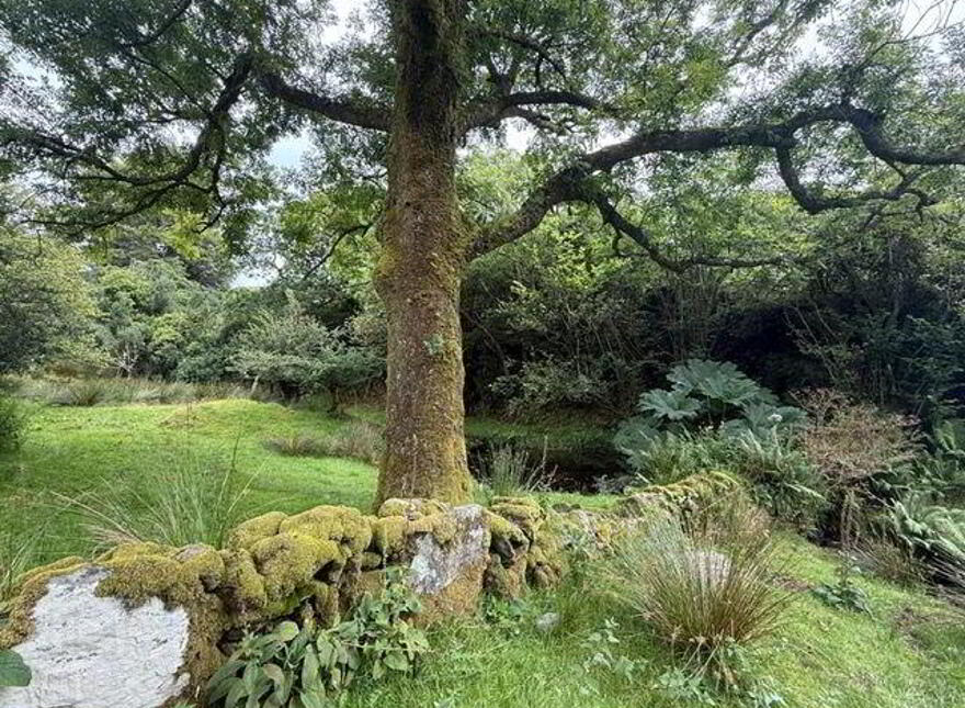 Lucy's Farmhouse, Gloun, Dunmanus, Dunmanus, P81XK24