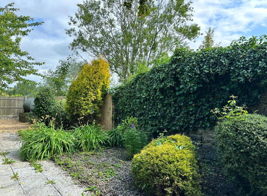 An Eala, Goresbridge, R95