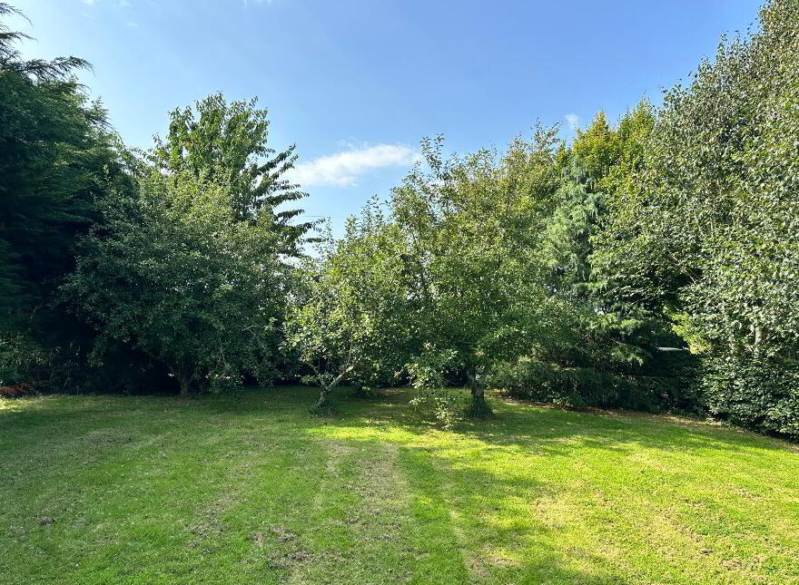 Old Road, Coolbawn, Castlecomer, R95