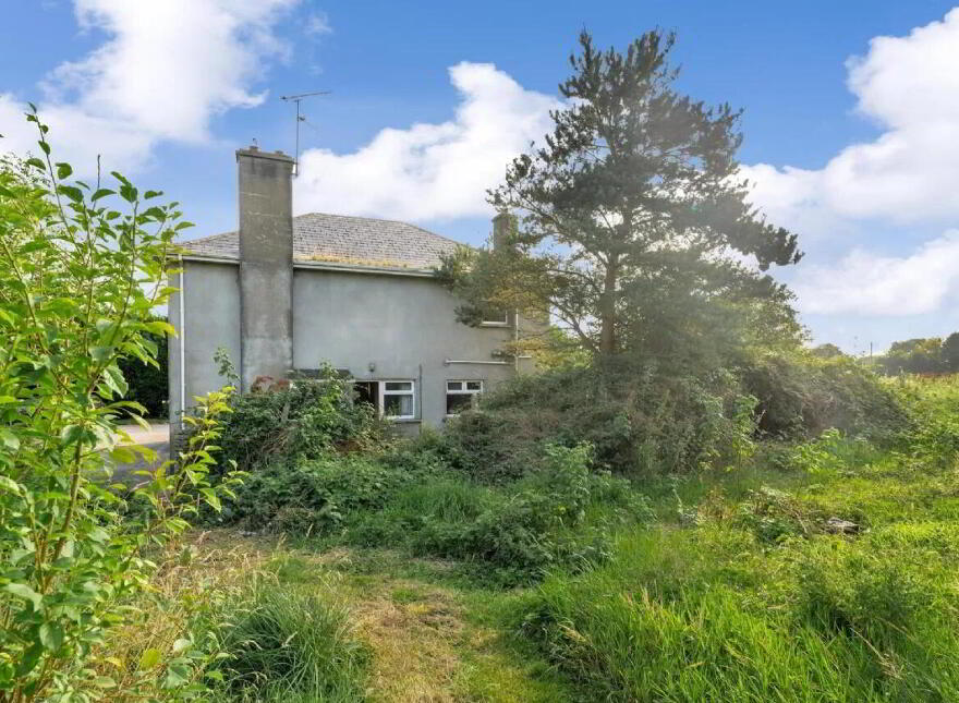 Raclaghy, Mountnugent, A82A704