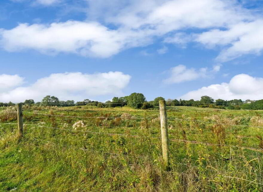 Raclaghy, Mountnugent, A82A704