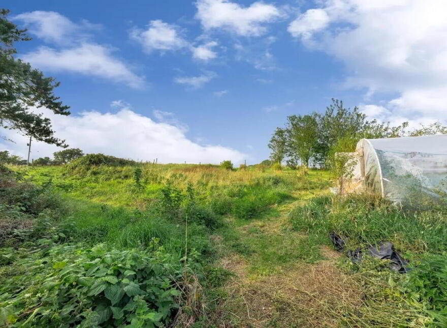 Raclaghy, Mountnugent, A82A704