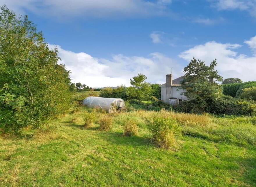 Raclaghy, Mountnugent, A82A704