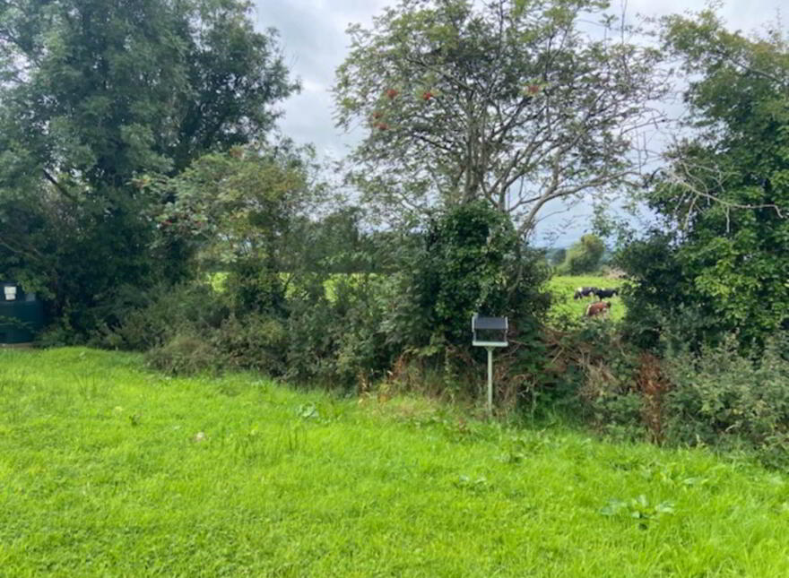 36 Dromore Park, Killygordon, F93X092