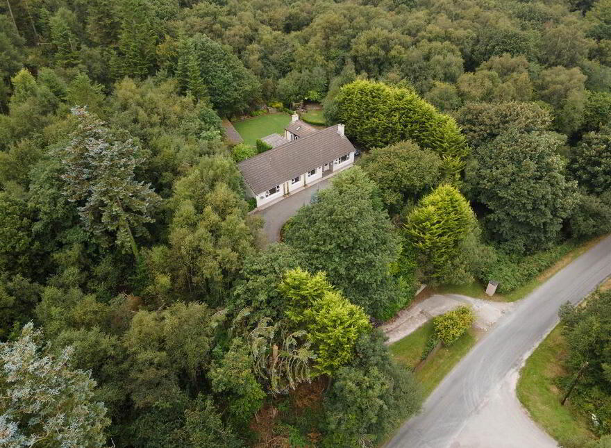 50 Old Park Road, Ballynahinch, BT24 8LY