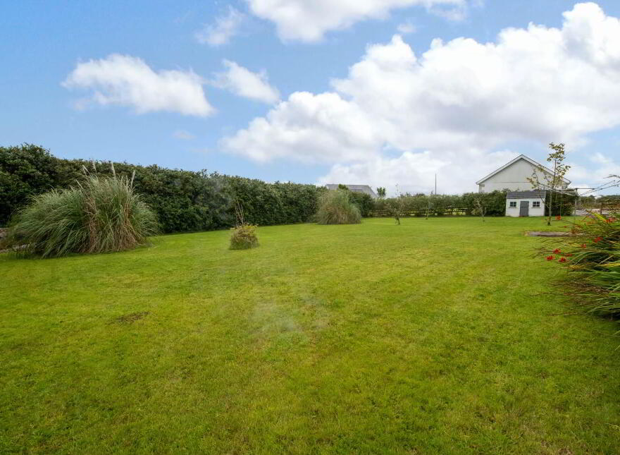 Clunelly, Quigleys Point, F93X062